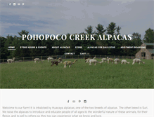 Tablet Screenshot of pohopococreekalpacas.com
